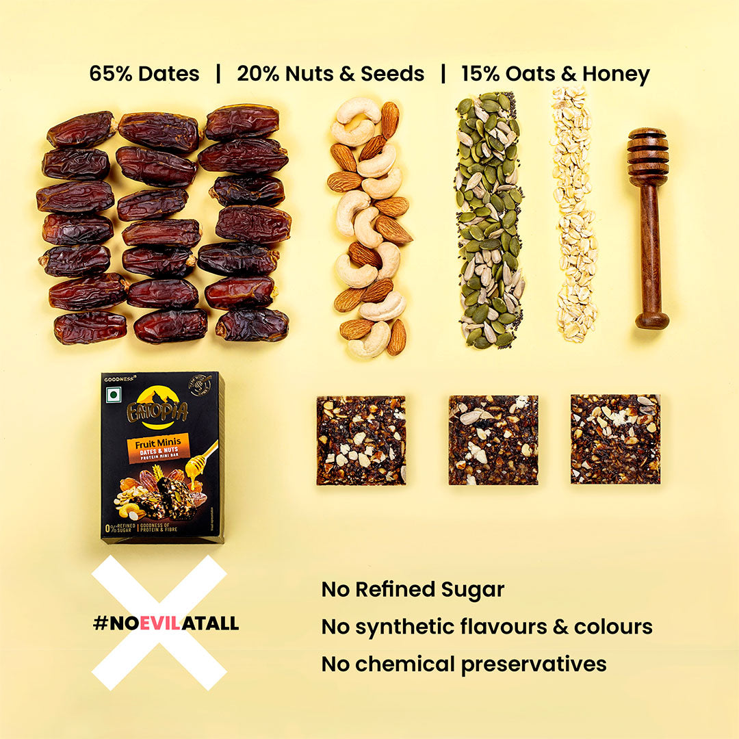 Fruit Minis Dates & Nuts|Dry Fruits Protein Bars |Healthy Energy Snacks - Pack of 2