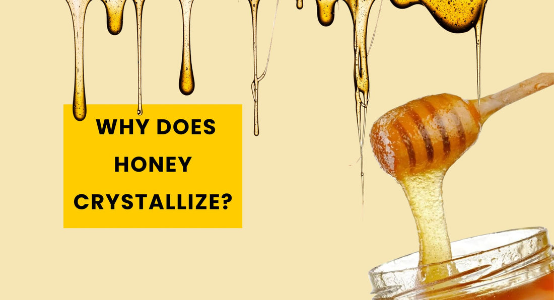Crystallisation of Honey