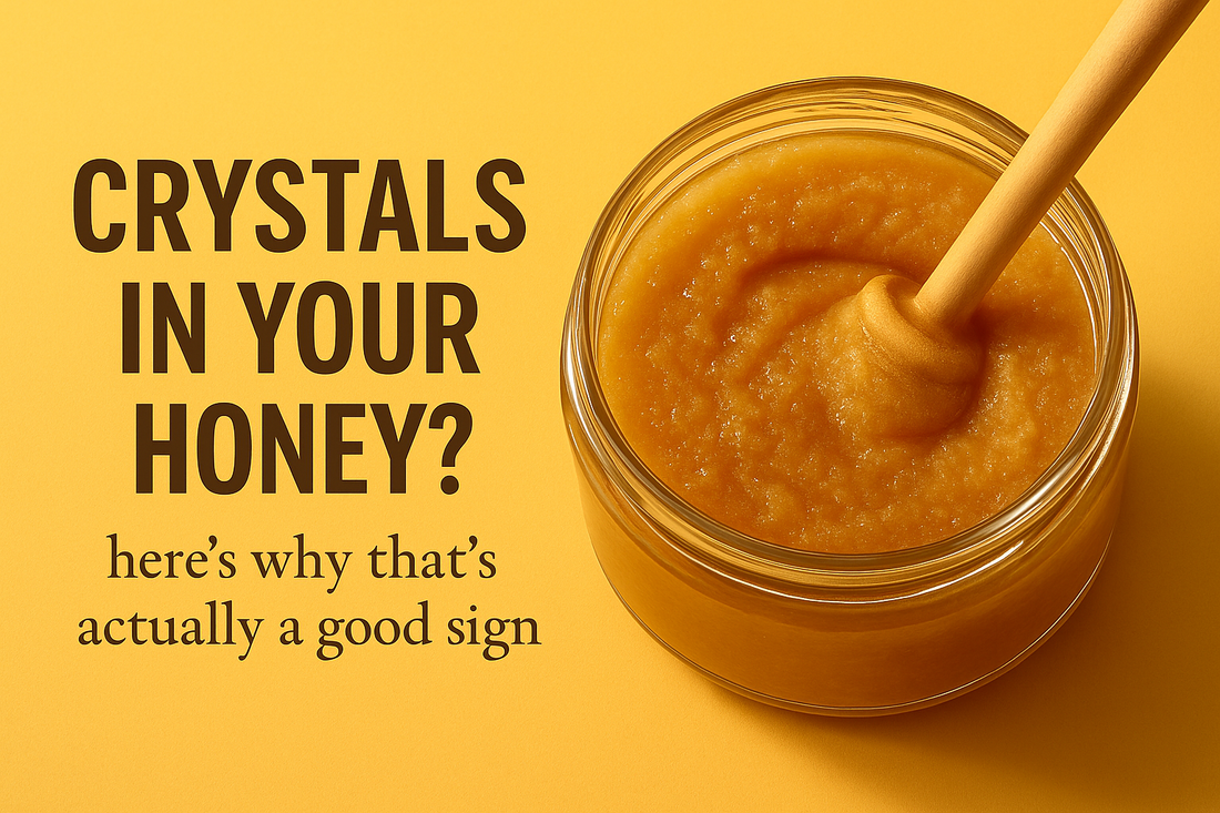 Crystals in Your Honey? Here’s Why That’s Actually a Good Sign