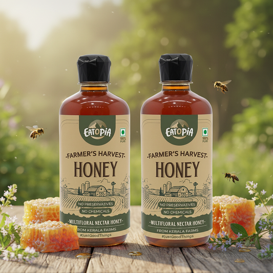 Farmer's Harvest Wild Nectar Honey (Pack of 2) | 100% Pure & Natural | No Adulteration, No added preservatives (Squeezy)