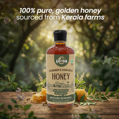 Farmer's Harvest Wild Nectar Honey | 100% Pure & Natural | No Adulteration, No added preservatives (Squeezy)