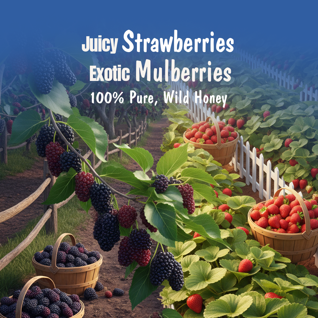 Mixedberry Honey Jam (Pack of 2) | 70% Real Berries, No refined sugar, No added preservatives