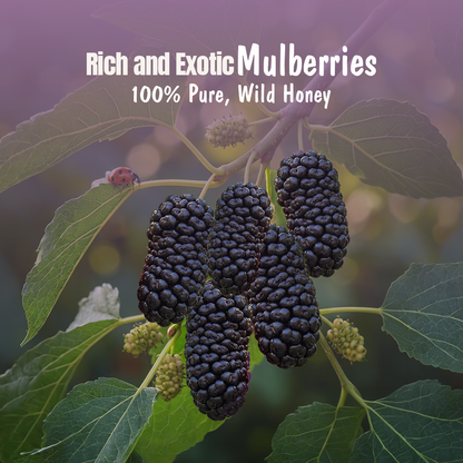 Mulberry Honey Jam (Pack of 2) | 70% Real Berries, No refined sugar, No added preservatives