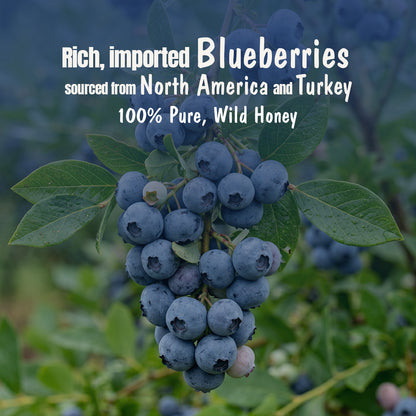 Blueberry Honey Jam | 70% Real Berries, 29% Honey | No refined sugar, No added preservatives
