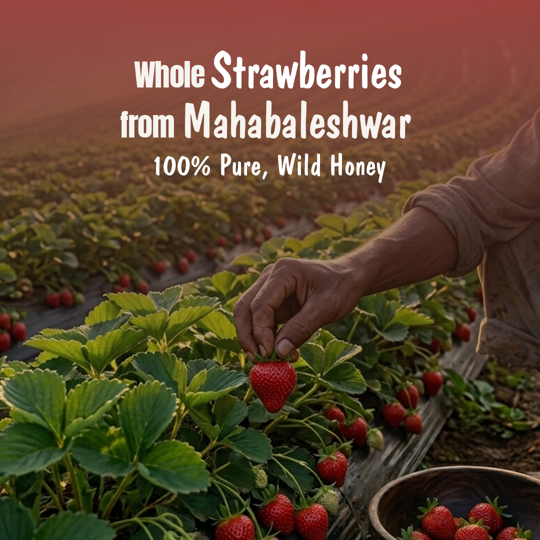 Strawberry Honey Jam (Pack of 2) | 70% Real Berries, No refined sugar, No added preservatives