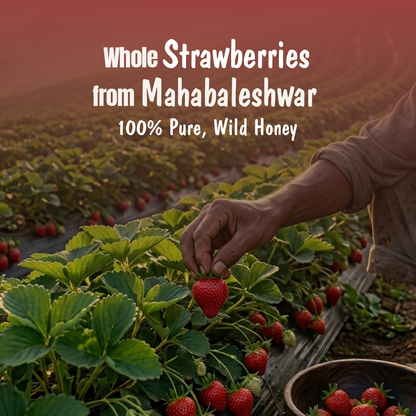 Strawberry Honey Jam (Pack of 2) | 70% Real Berries, No refined sugar, No added preservatives