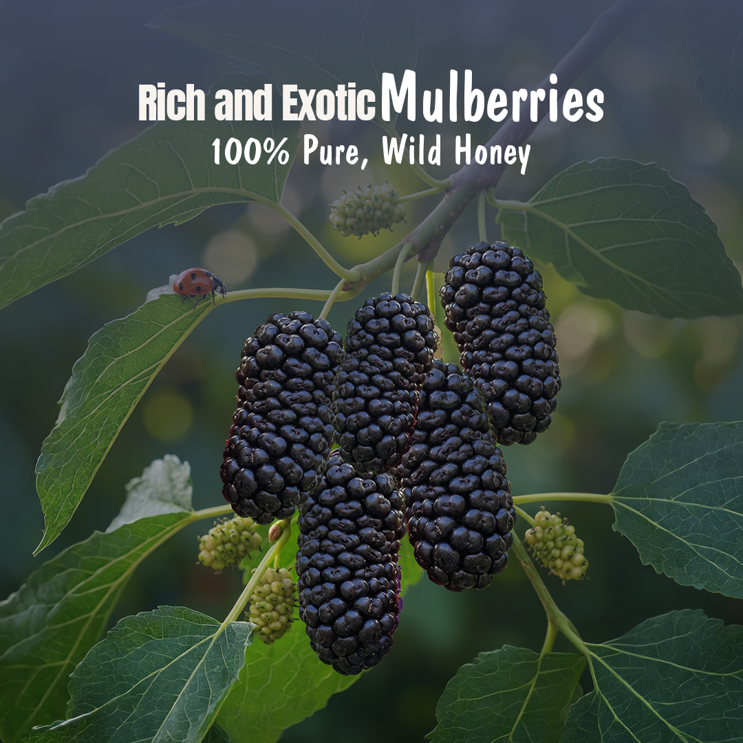 Mulberry Honey Jam | 70% Real Berries, 29% Honey | No refined sugar, No added preservatives