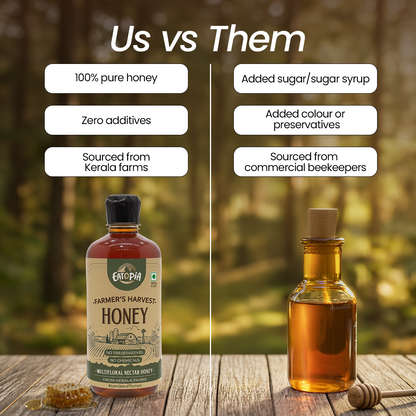 Farmer's Harvest Wild Nectar Honey | 100% Pure & Natural | No Adulteration, No added preservatives (Squeezy)