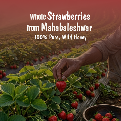Strawberry Honey Jam | 70% Real Berries, 29% Honey | No refined sugar, No added preservatives