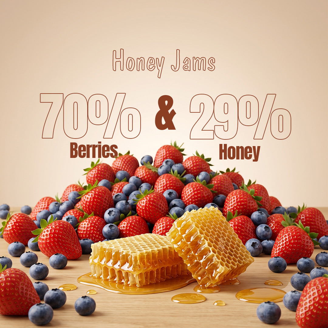 Assorted Pack of 3 | Choco Nut Spread + Strawberry Honey Jam + Blueberry Honey Jam (180g+240g+240g)| No refined sugar, No added preservatives