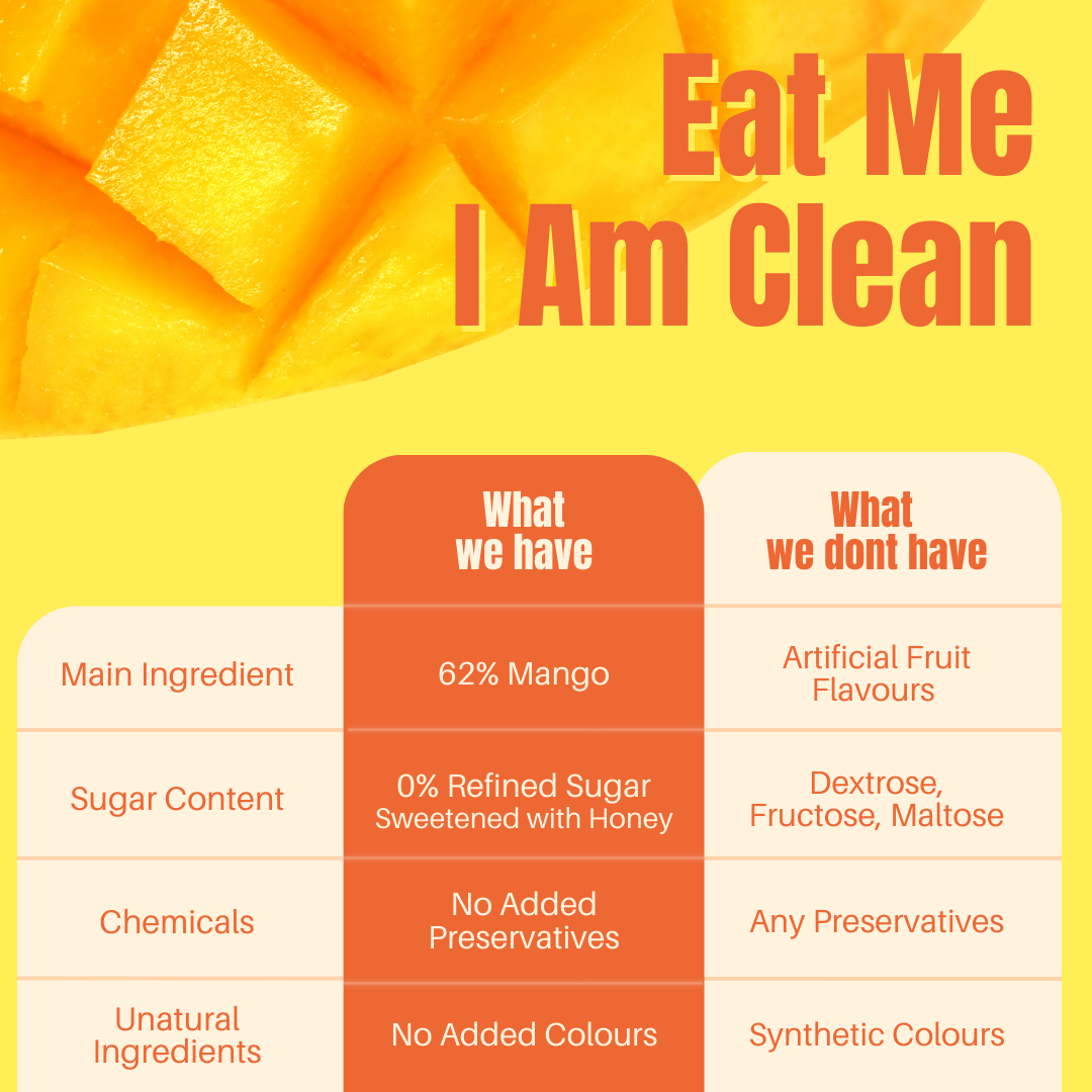 Protein Fruit Bites Mango Chia |Dry Fruits Protein Bars |Healthy Energy Snacks - Pack of 2 (10 bars)