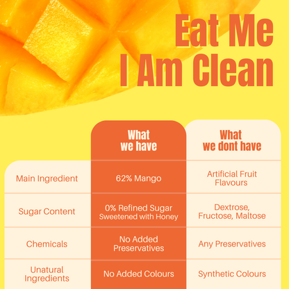 Protein Fruit Bites Mango Chia |Dry Fruits Protein Bars |Healthy Energy Snacks - Pack of 2 (10 bars)