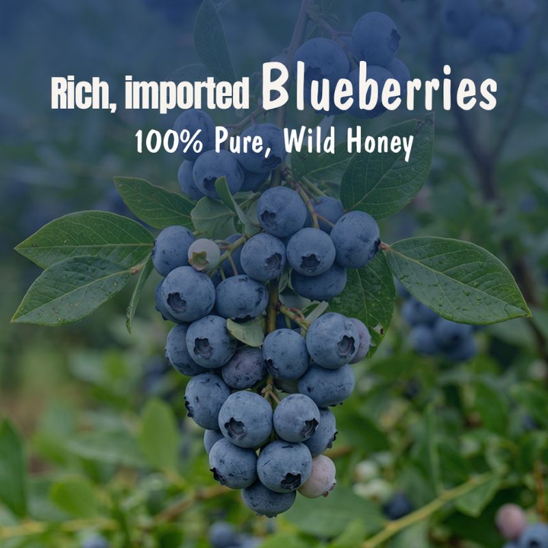 Blueberry Honey Jam | 70% Real Berries, 29% Honey | No refined sugar, No added preservatives