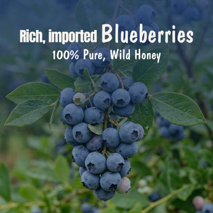 Blueberry Honey Jam | 70% Real Berries, 29% Honey | No refined sugar, No added preservatives