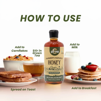 Pure Natural Farmer's Harvest Nectar Honey | No Sugar Adulteration( Squeezy ) | Pack of 2