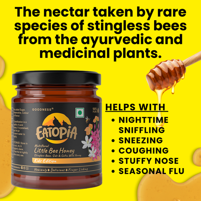100% Stingless Bees Natural,Pure Kids Little Bee Immunity Building Honey | Medicinal plants