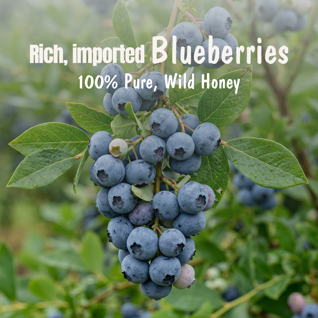 Assorted Pack of 3 | Blueberry Honey Jam + Mixed Berry Honey Jam + Strawberry Honey Jam (240g+240g+240g)| No refined sugar, No added preservatives