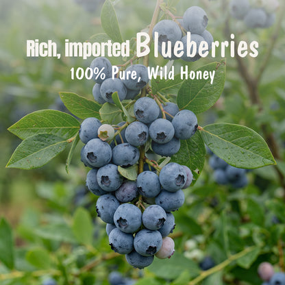 Assorted Pack of 3 | Blueberry Honey Jam + Mixed Berry Honey Jam + Strawberry Honey Jam (240g+240g+240g)| No refined sugar, No added preservatives