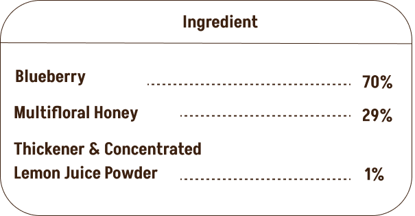Assorted Pack of 3 | Choco Nut Spread + Strawberry Honey Jam + Blueberry Honey Jam (180g+240g+240g)| No refined sugar, No added preservatives