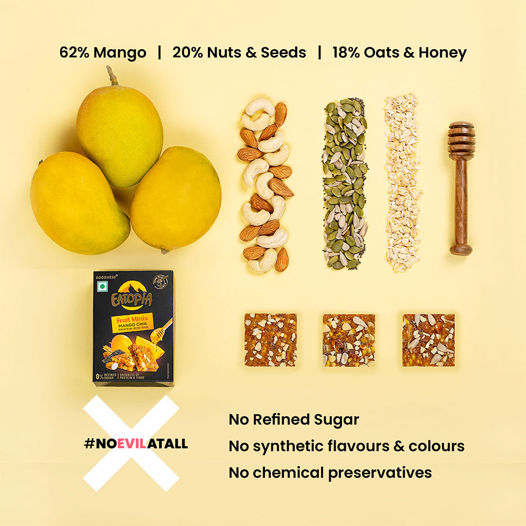 Fruit Minis Mango Chia |Dry Fruits Protein Bars |Healthy Energy Snacks - Pack of 12
