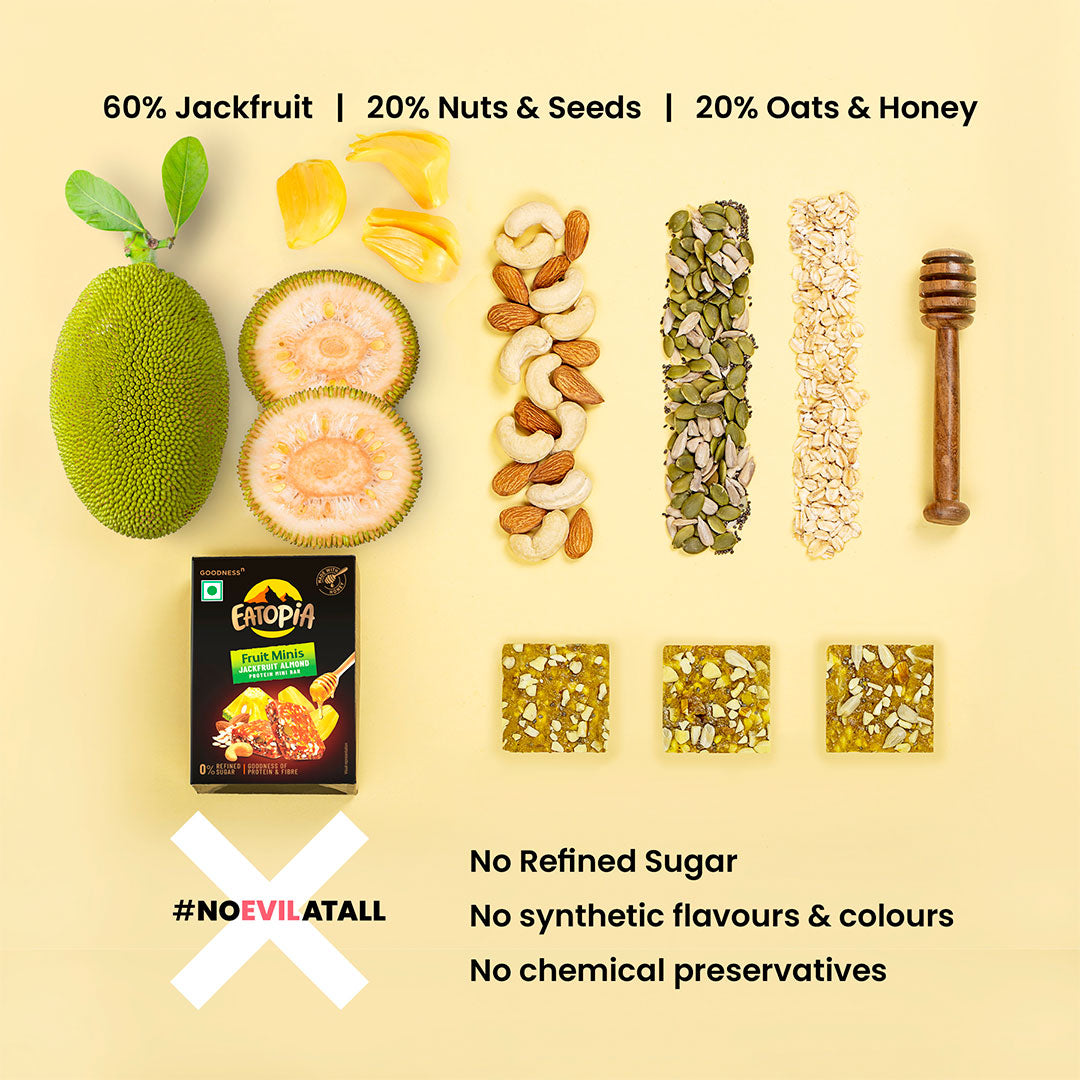 Fruit minis Dry Fruits Protein Bars |Healthy Energy Snack|Mango, Jackfruit ,Dates - 4 pack each -pack of 12