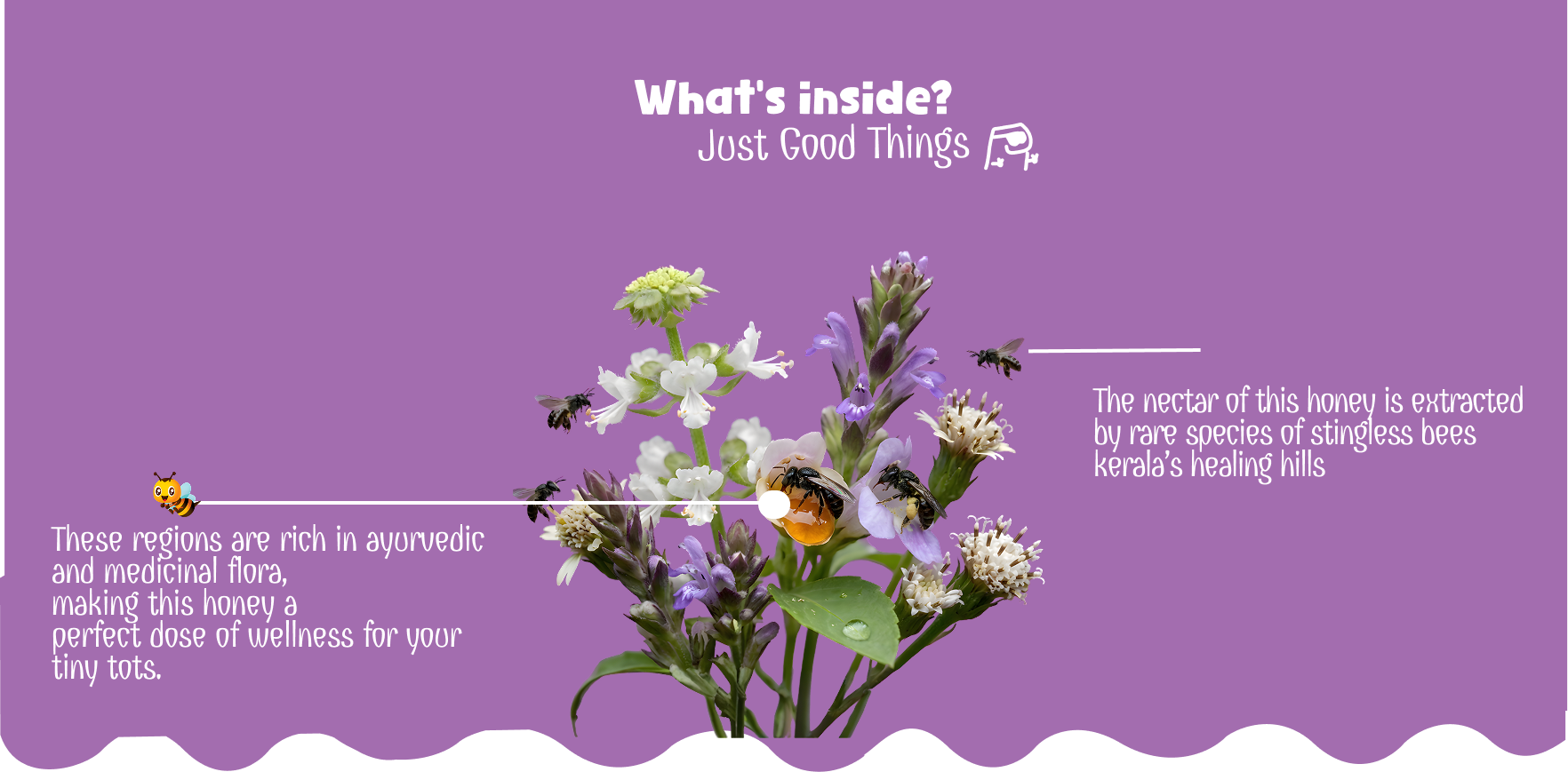 Desktop Banner