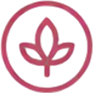 100% Natural ingredients