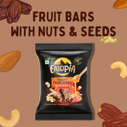 Fruit Minis Dates & Nuts|Dry Fruits Protein Bars |Healthy Energy Snacks - Pack of 12